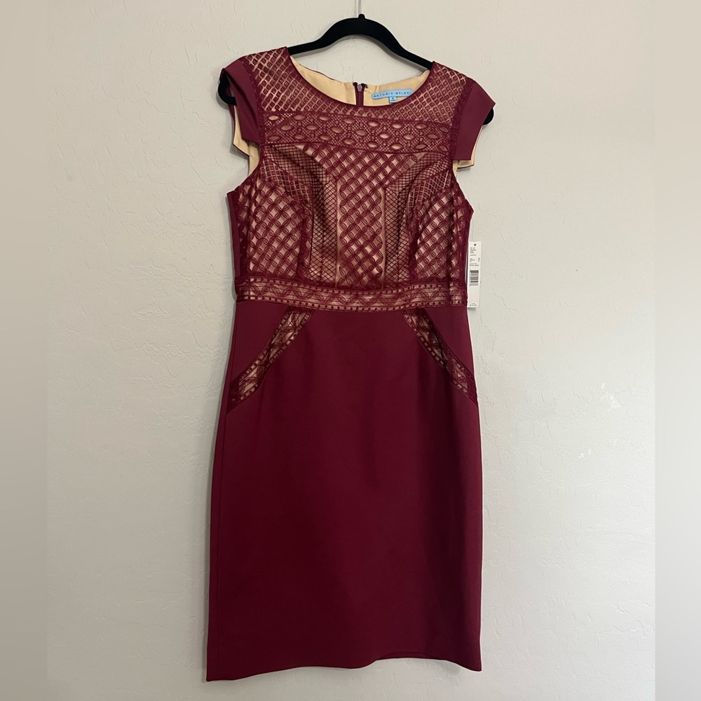 NWT Antonio Melani Cabernet dress
